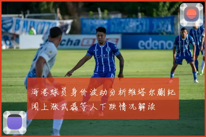 海港球员身价波动分析维塔尔蒯纪闻上涨武磊等人下跌情况解读