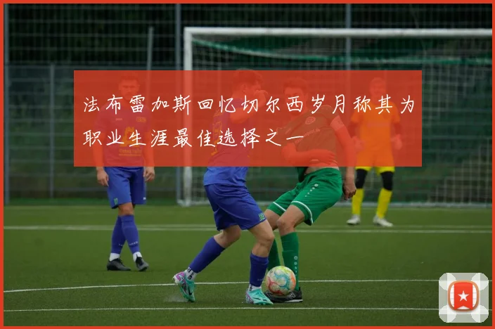 法布雷加斯回忆切尔西岁月称其为职业生涯最佳选择之一